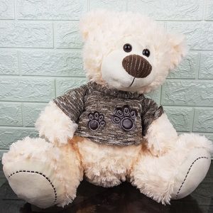 peluche de oso a delivery